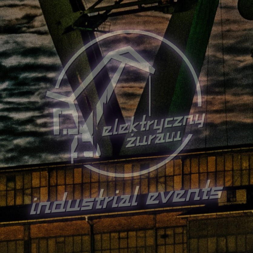elektriszny zuraw2